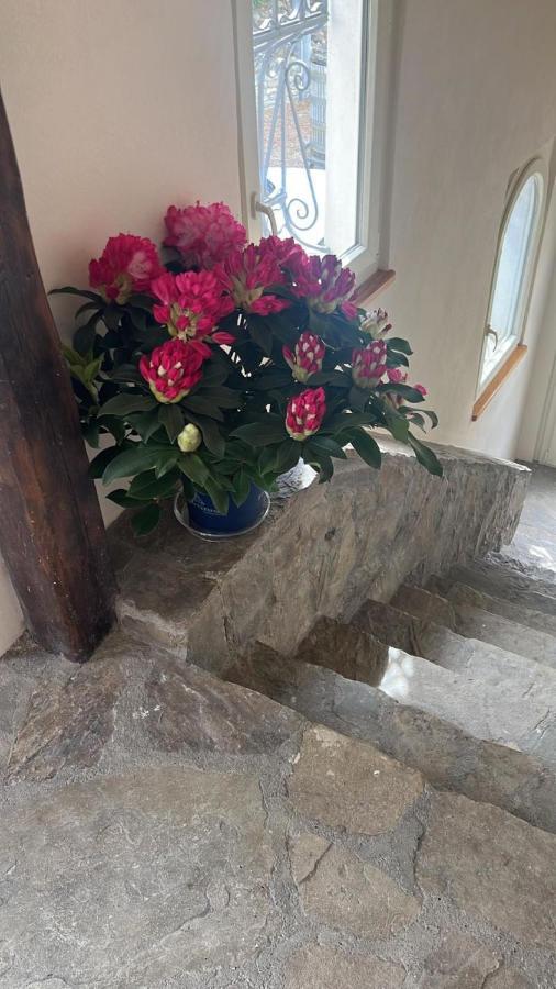 Loaz Relais Agriturismo Apartment Loazzolo Екстериор снимка